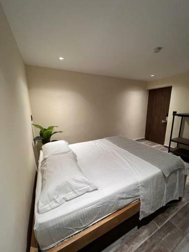 Hostal Casa Indigo Laureles-estadio Con Jacuzzi