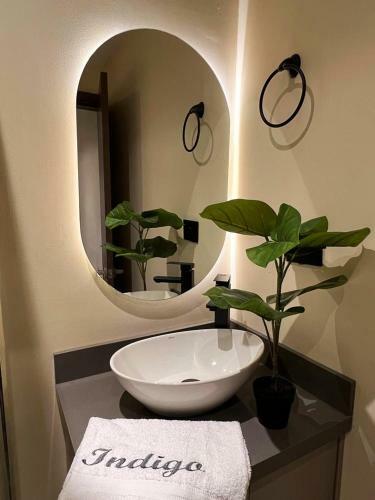 Hostal Casa Indigo Laureles-estadio Con Jacuzzi