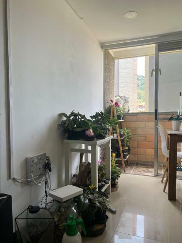 Habitaci�n En Apartamento Robledo-medellin