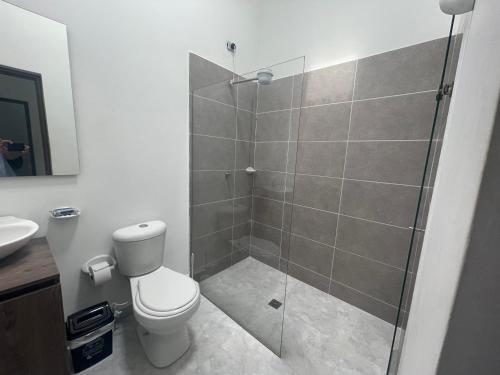 Apartamento C�modo , C�ntrico Y Bien Ubicado Apto 402