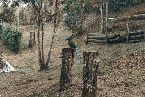Caba�a En Madera, Santa Elena