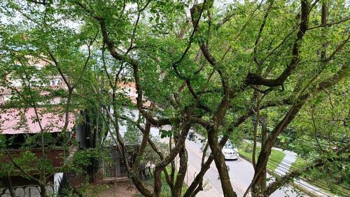 Apartamento Beautiful Loft Laureles