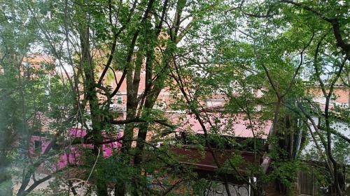 Apartamento Beautiful Loft Laureles