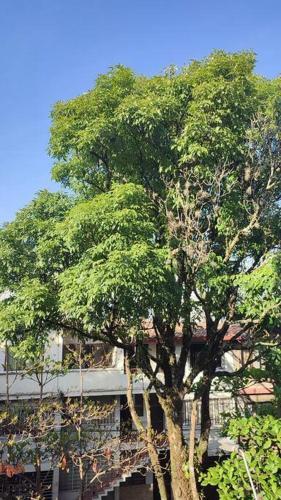 Comfy Apartment Downtown In Medell�n