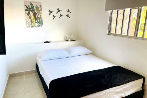 Apartamento Acogedor,luz Natural , Agua Caliente ,200 Mbps,central.