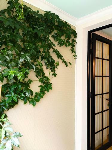 Duo Boutique Hotel