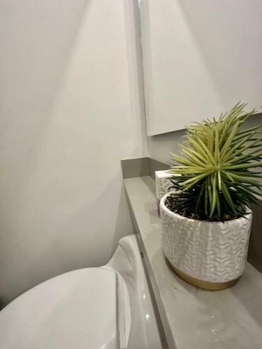 Apartamento Completo Luxury Poblado