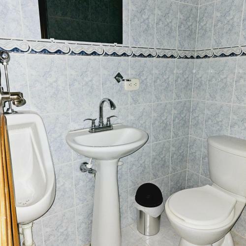 Renta Apartamento Econ�mico