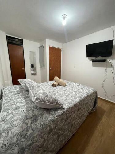 Apartamento Apto Completo Moderno 1er Piso