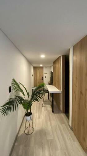 Apartamento Para�so Rent House 206