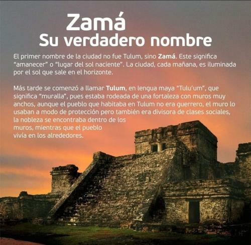 Zam� Room Hotel