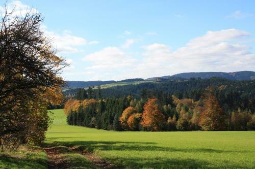 Apartment Am Buchenhain