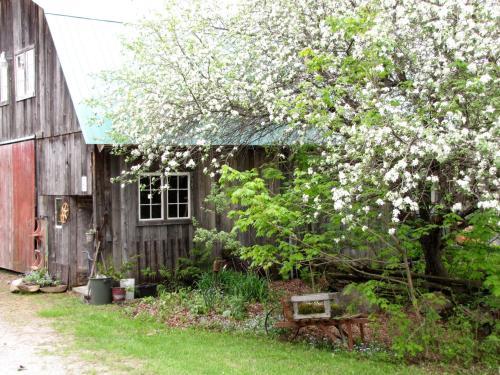 Morgan House B&B