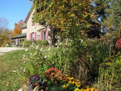 Morgan House B&B