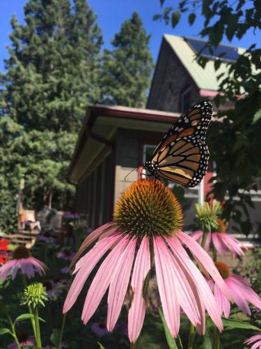 Morgan House B&B