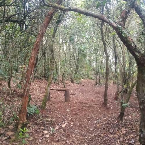 Hermosa Caba�a Con Huerta - Casa Verde