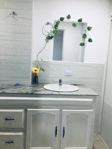 Comodo Apartamento En Laureles