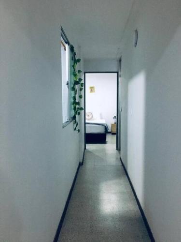 Comodo Apartamento En Laureles