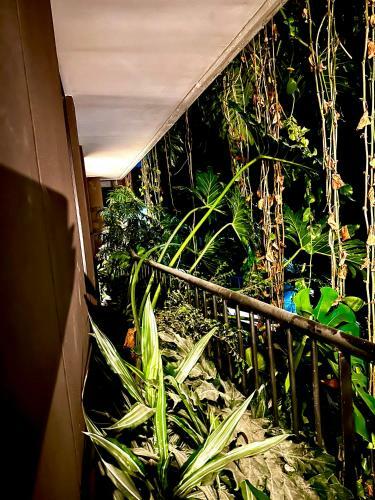 Apartamento El Poblado Luxury Provenza