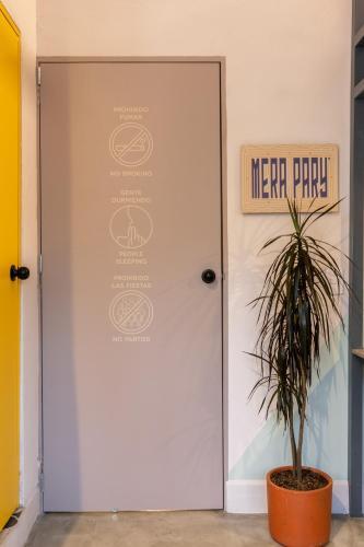 Apartamento Primavera - Studios