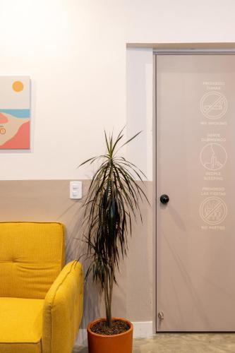 Apartamento Primavera - Studios