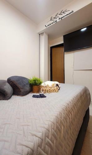 Apartamento 101 Cerca Al Estadio