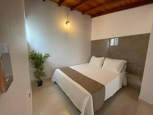 Lindo Aparta Estudio 302