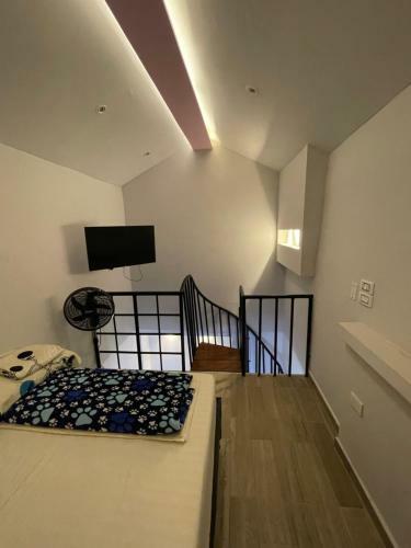Apartamento El Nido Apt De Doble Piso Estadio La 70 Laurles