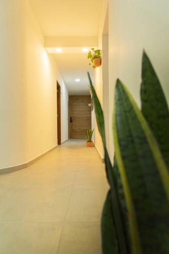 Madeira Boutique Hostel