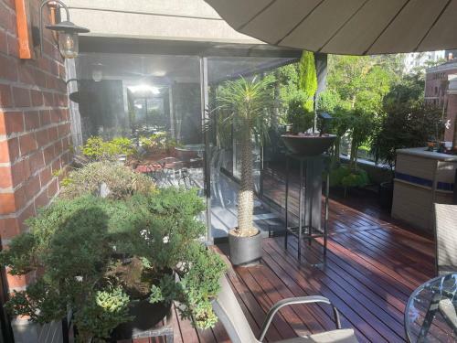 Apartamento Villa Bonsai