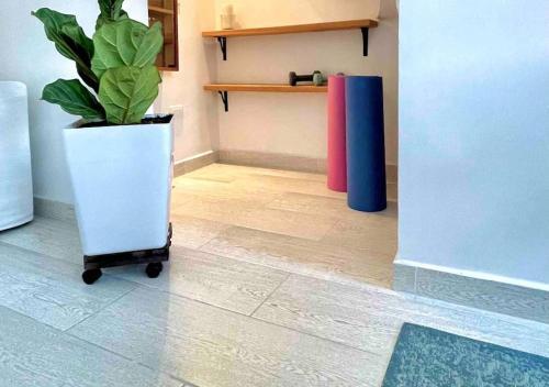 Apartamento Casa Luz Boutique, Live Local!