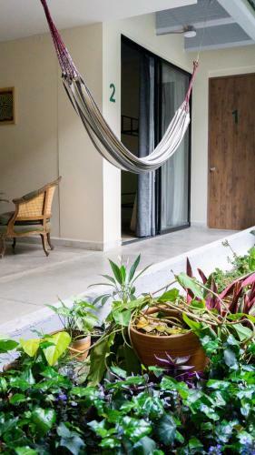 Bed & Breakfast Casa Selva
