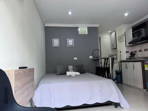 Apartamento Loft Bel�n Rosales Central