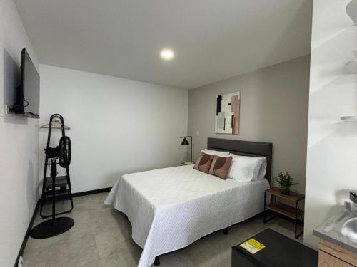Apartamentos Virginia 34