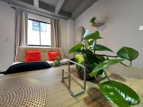 Apartamentos Virginia 34