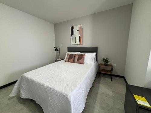 Apartamentos Virginia 34