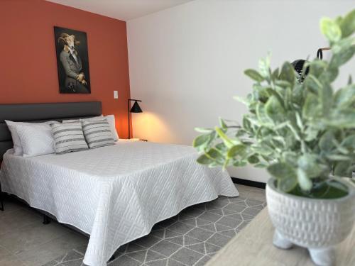 Apartamentos Virginia 34