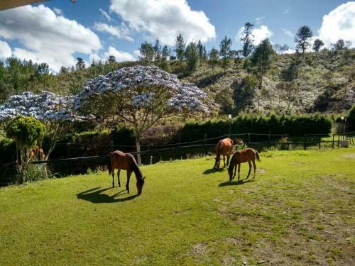 Finca Campestre En Guarne