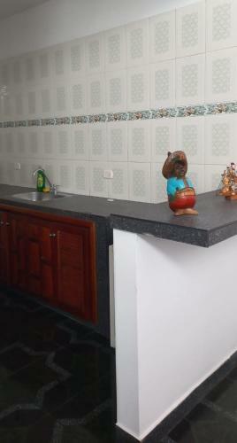 Hermoso Apartamento Duplex