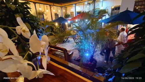 Hostal Casa Turistica Jadin Eden