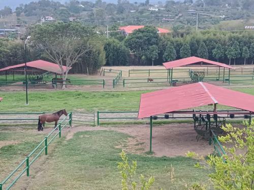 Apartamento Campestre En Condominio