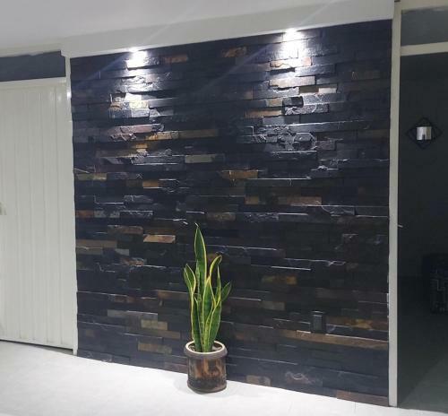 Acogedor Apartamento