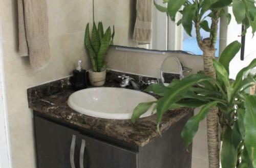 Acogedor Apartamento