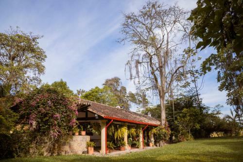 Bed & Breakfast Hacienda Coloma