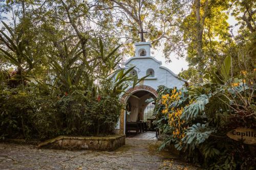 Bed & Breakfast Hacienda Coloma