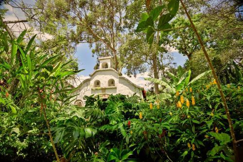 Bed & Breakfast Hacienda Coloma