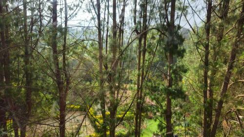 Beehouse Arv� Caba�a
