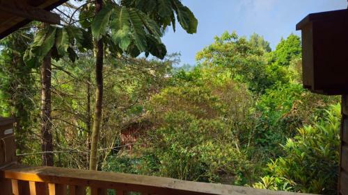 Beehouse Arv� Caba�a