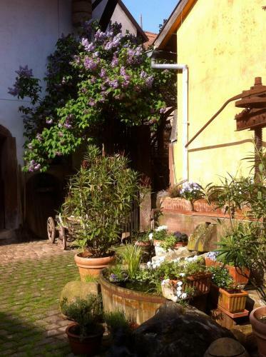 Apartamento La Maison De Caroline