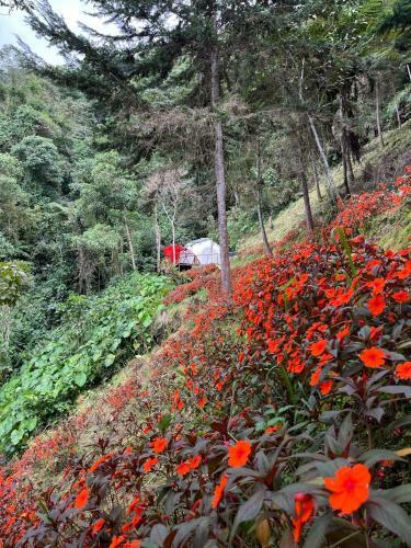 Finca Montmagica